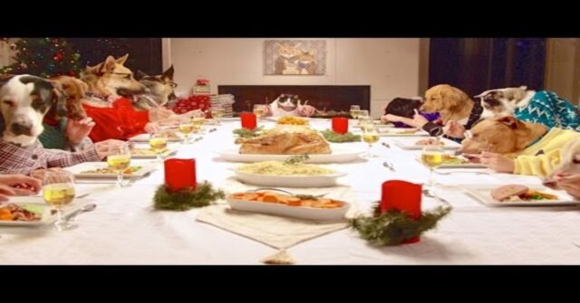 La cena del Ringraziamento di una famiglia di cuccioli di cane innamora migliaia di utenti (VIDEO)
