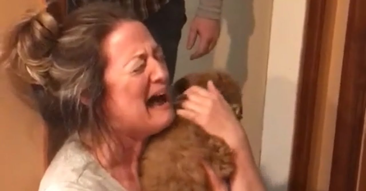 La felicità di una donna che ci riceve in regalo due cuccioli di cane (VIDEO)