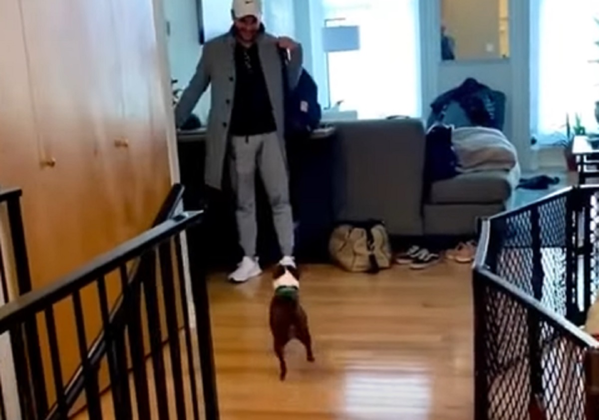 cane felice papà