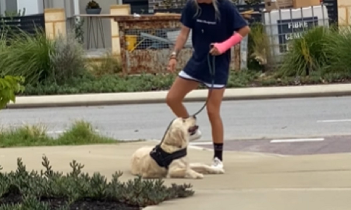 cucciolo proteste spasso