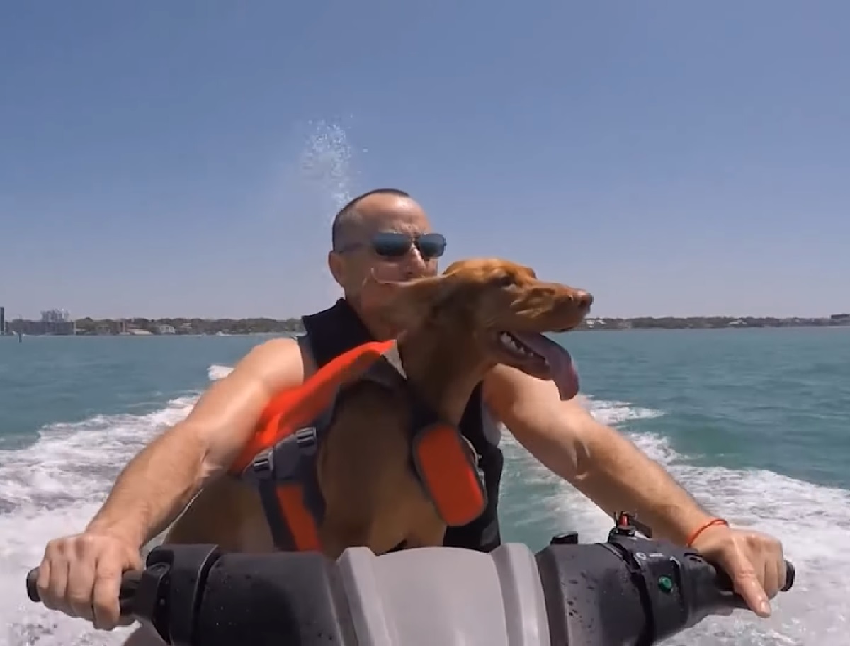 maggie cucciola cane adora il mare la spiaggia