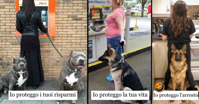 Razze di cani che darebbero la vita per i loro proprietari