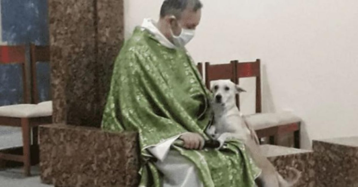 Un sacerdote dice messa insieme a dei cuccioli di cane e conquista la rete (VIDEO)