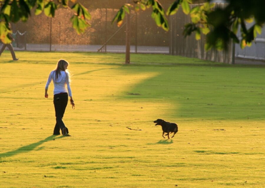 camminare cane mamma