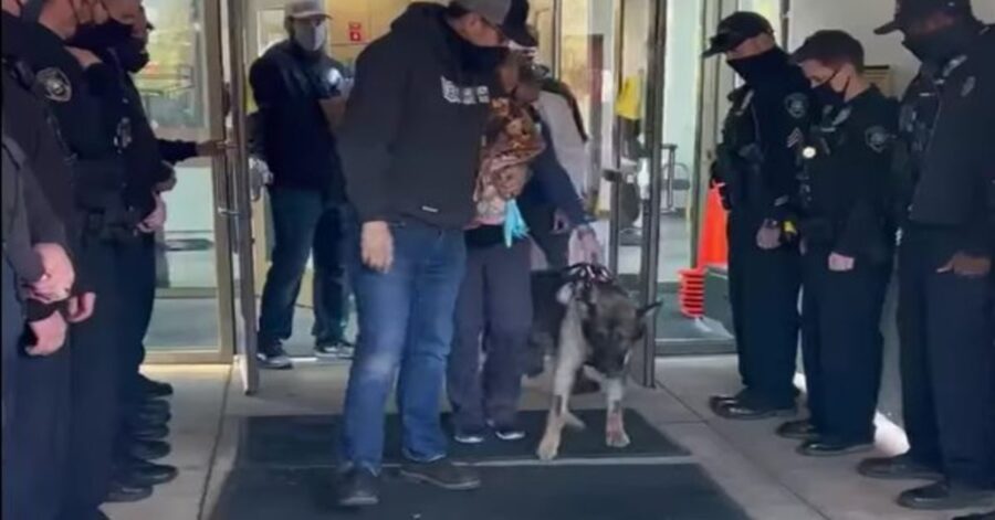 cane poliziotto accolto come eroe