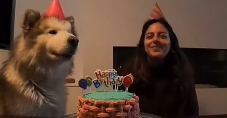 Cane festeggia compleanno con la padrona