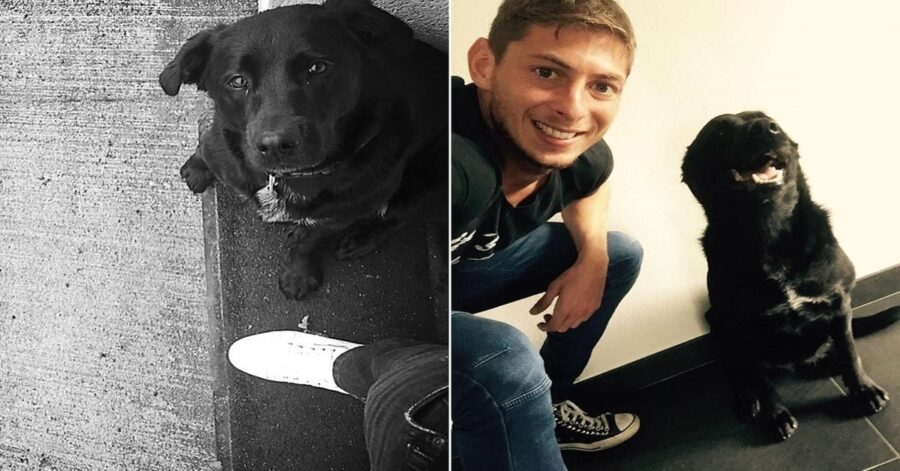 Nala e Emiliano Sala morto