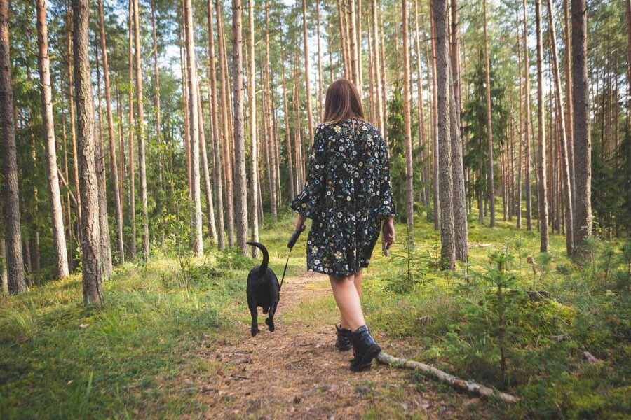 ragazza passeggia nel bosco con il cane