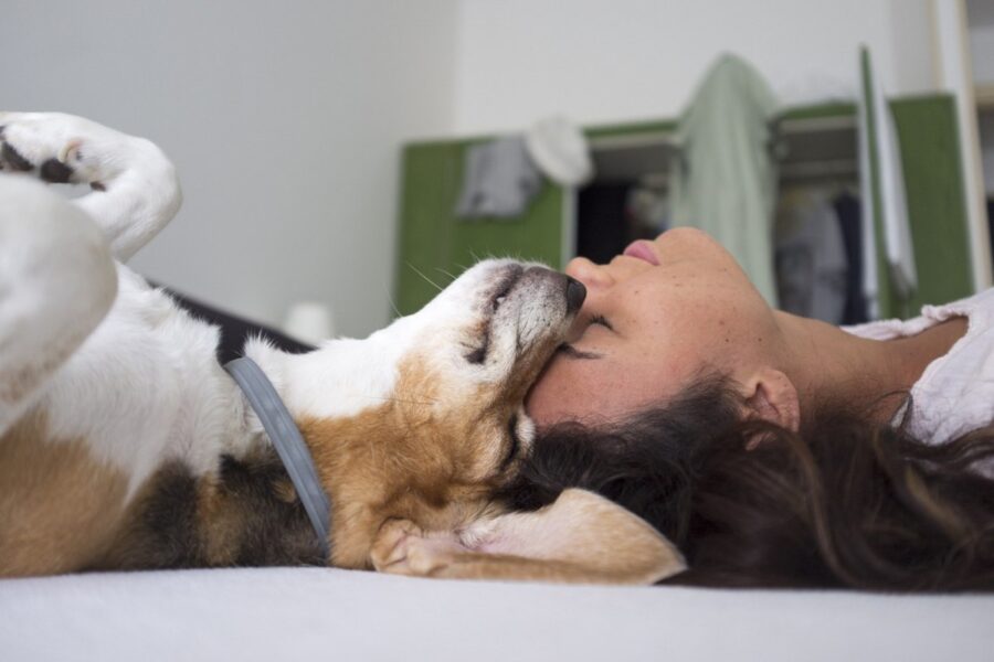 ragazza dorme con il cane sul letto