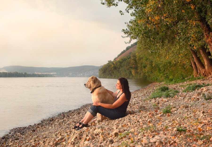 cane proprietaria riva lago