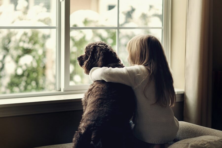 cane e bambina alla finestra