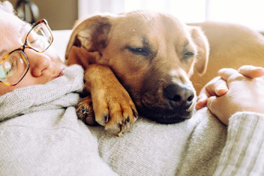 cane dorme su padrona