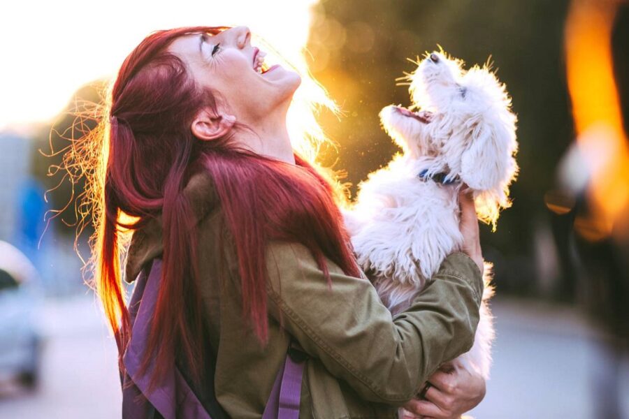 cane bianco con ragazza