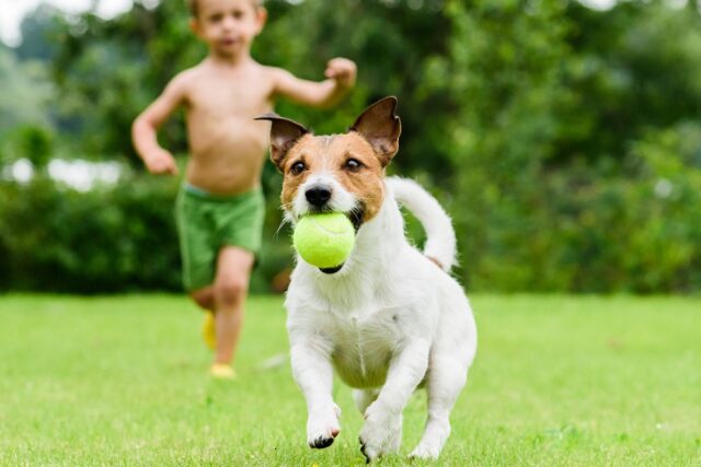 Cane a Pasqua, i giochi più divertenti da fare insieme