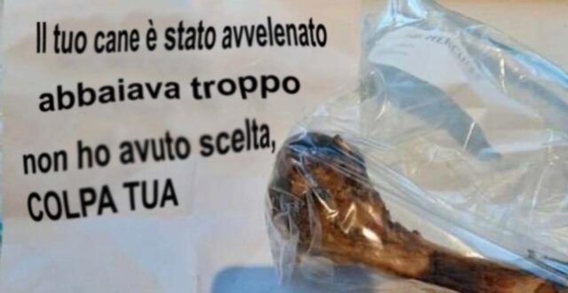 Avvelena il cane con un osso: la terribile lettera ai padroni (FOTO)