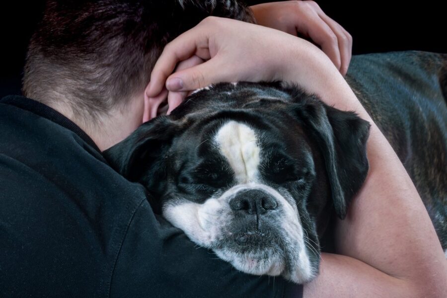 ragazzo che abbraccia il suo cane