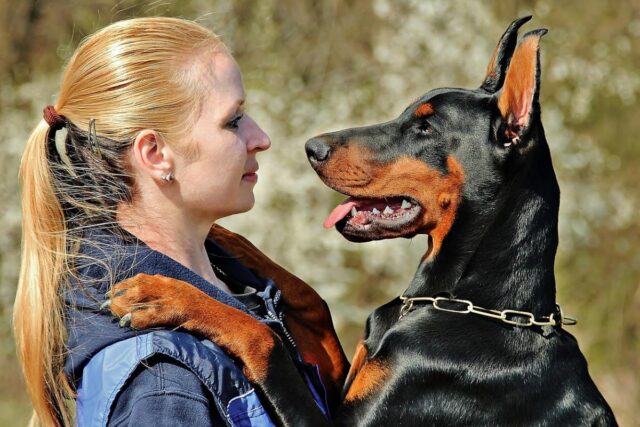 Il cane cerca di abbracciarci o è una nostra impressione?