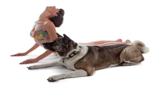 Meize, una cucciola di cane, fa stretching con la sua mamma umana (VIDEO)