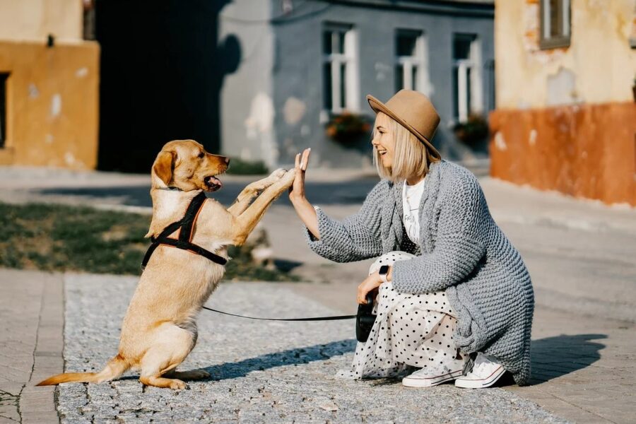 ragazza con il suo cane