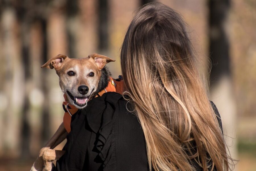 ragazza tiene in braccio un cane