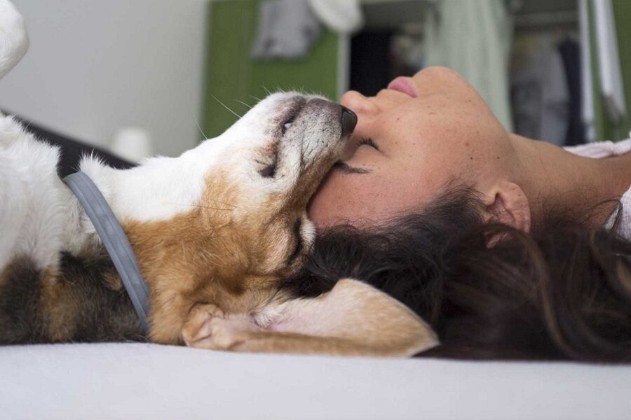 contatto tra cane e padrona