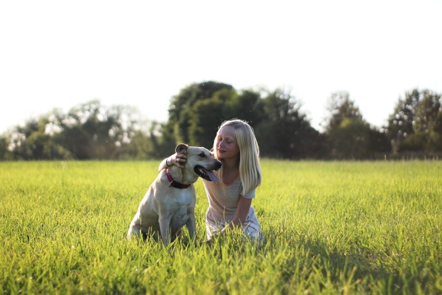 cane e ragazzina al parco