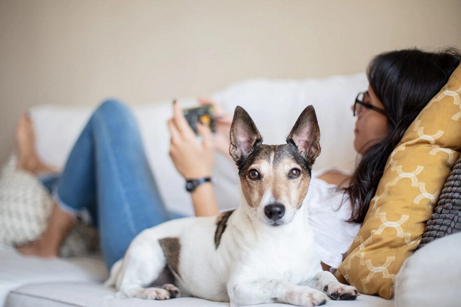 ragazza e cane sul letto