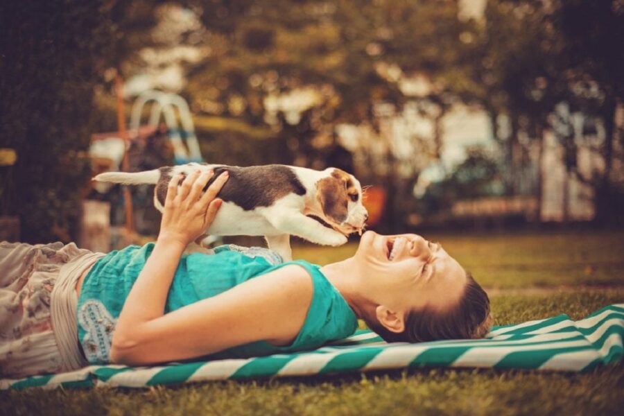 cucciolo di cane lecca ragazza