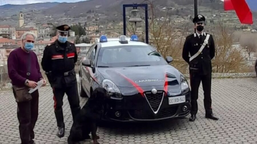 cane rottweiler carabinieri