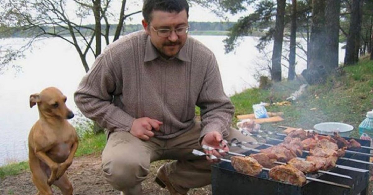 cani e cibo-barbecue di carità