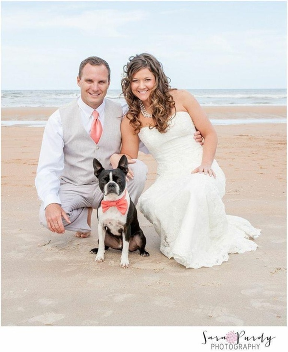 cane con sposi sulla spiaggia