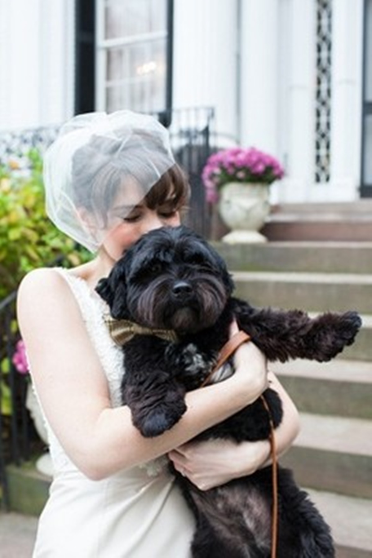 cane in braccio alla sposa