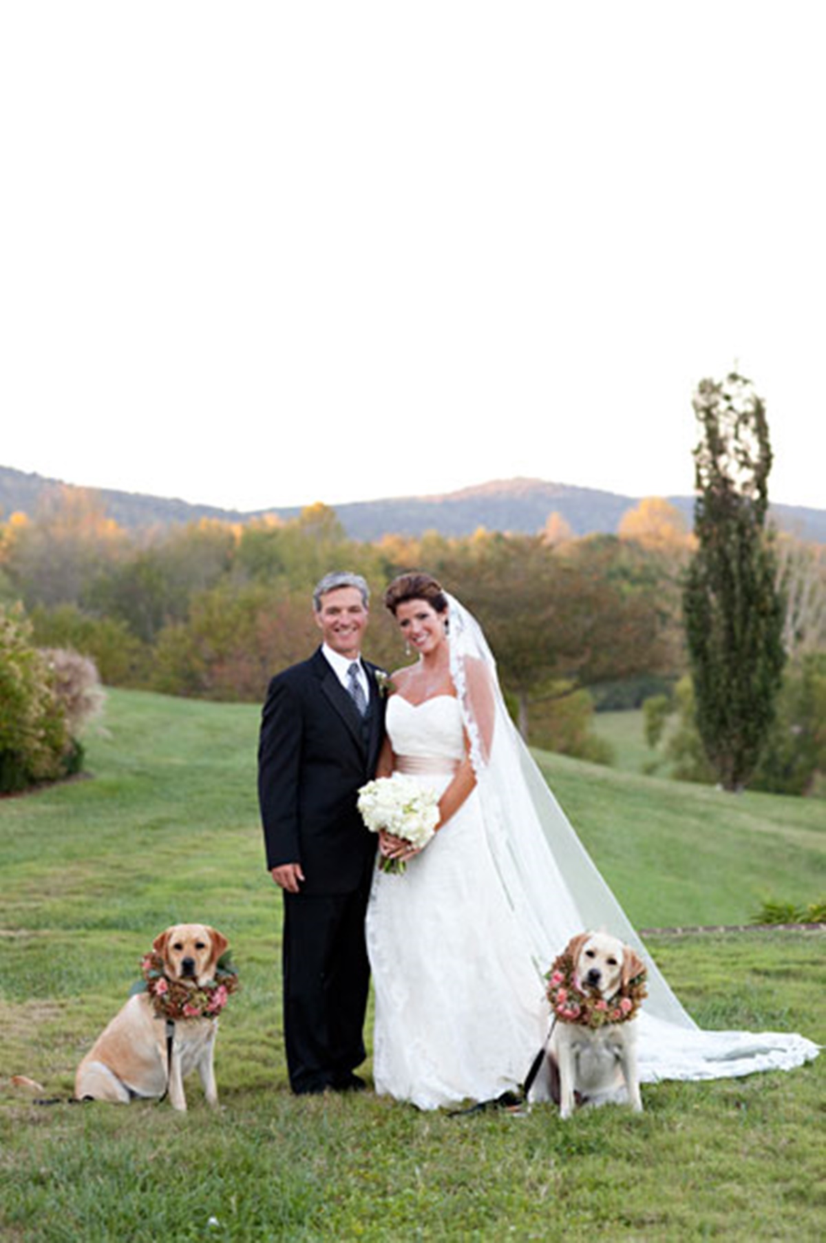 cani e matrimoni-cani di fianco agli sposi