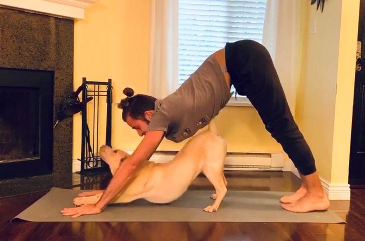cane che fa yoga con padrone