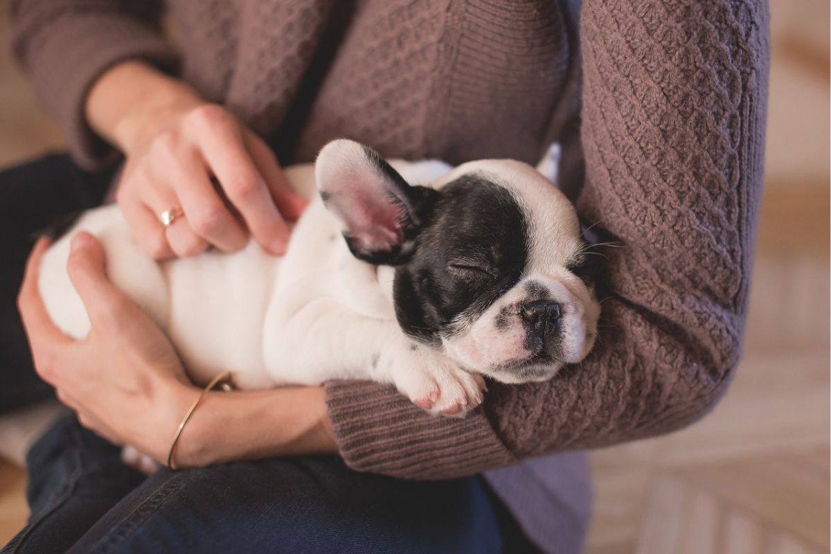 donna tiene in braccio un cucciolo di cane