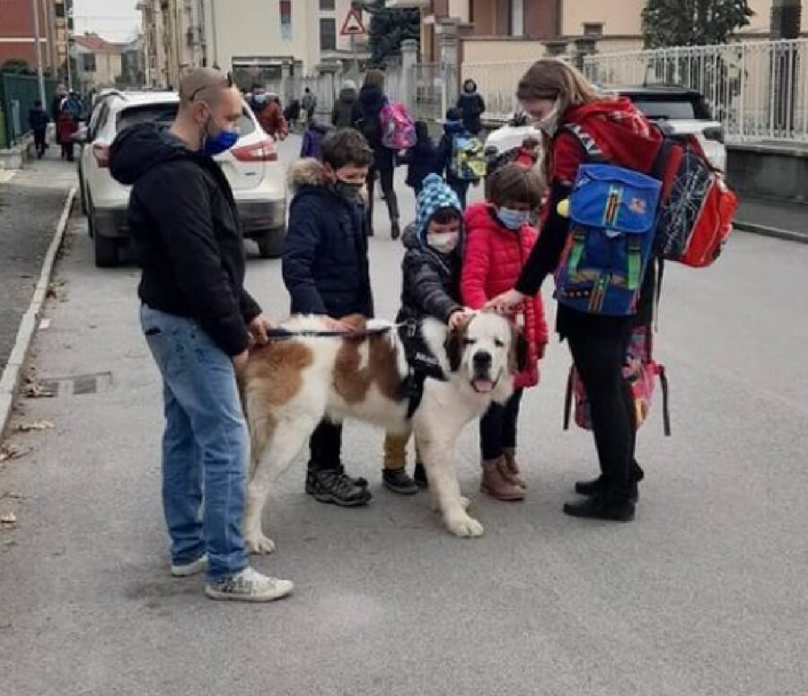 mario san bernardo adora i bambini