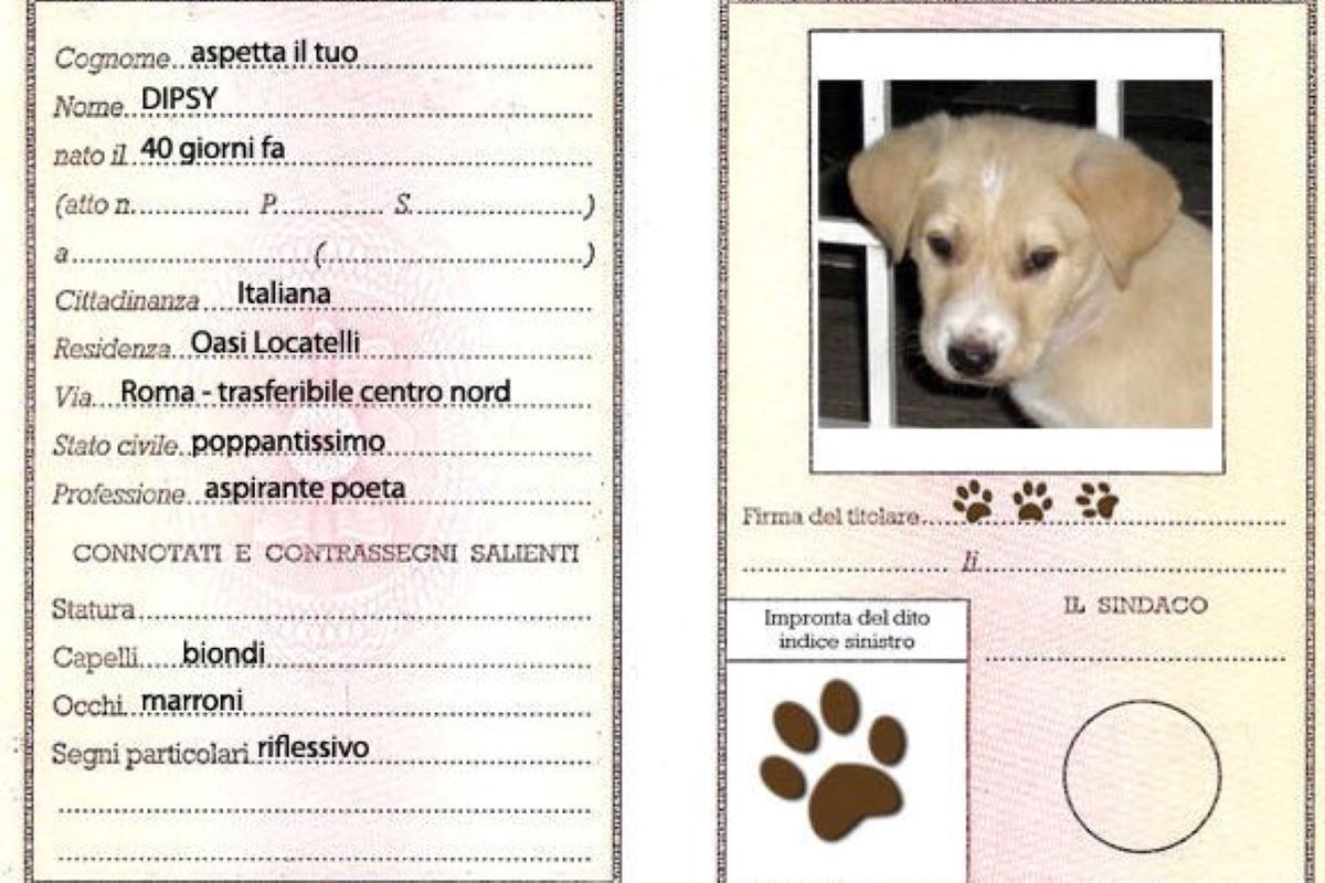 documento cane