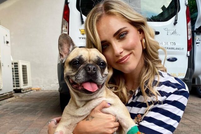 Matilda sotto i ferri: il cane di Chiara Ferragni operato, le sue condizioni