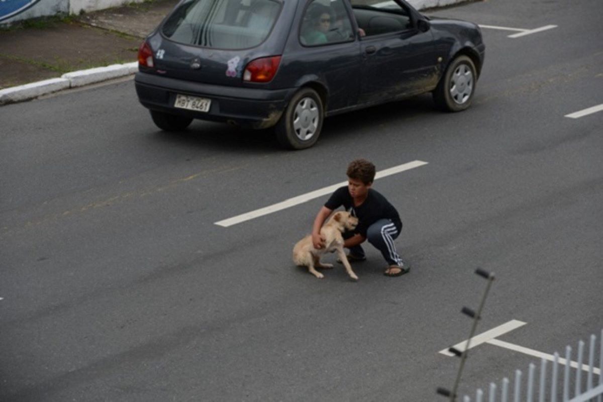 cucciolo di cane soccorso da un bambino