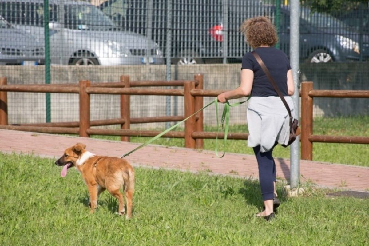 cane a spasso con la padrona