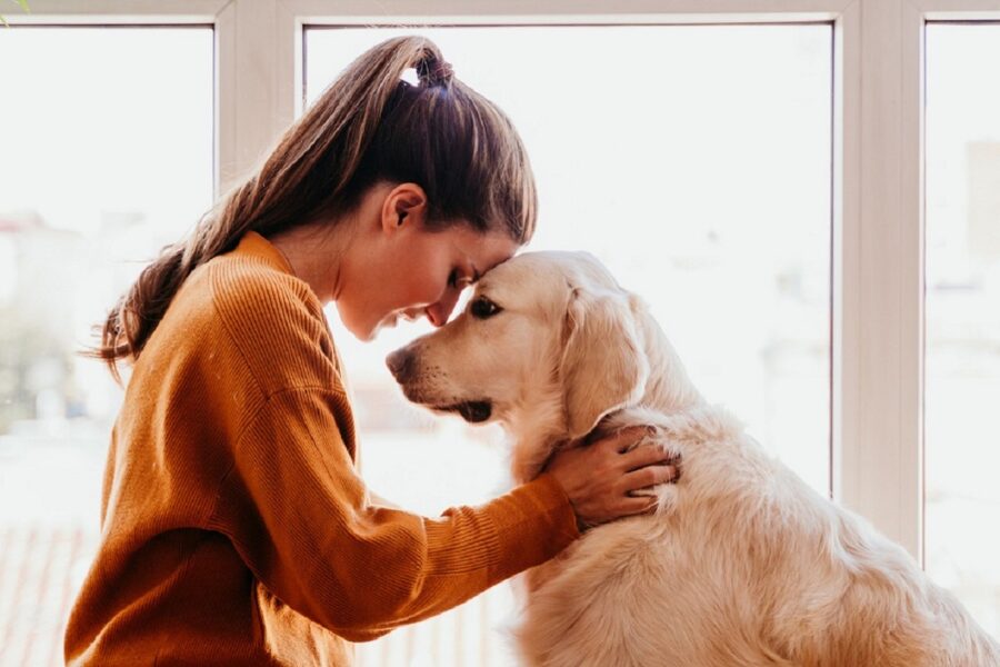 intesa tra cane e ragazza