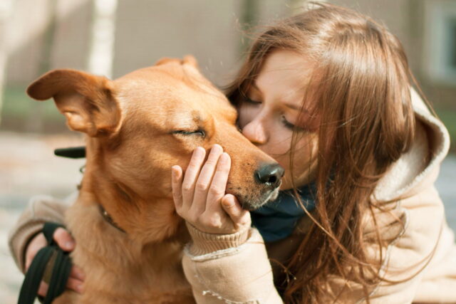 Questi sono i sentimenti che il cane ci fa riscoprire, grazie al suo modo di essere