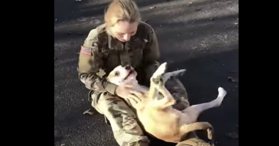 cane felice con padrona tornata