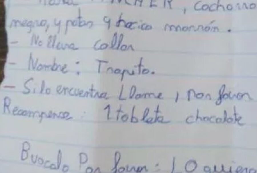 spagna lettera ragazzina mari trini