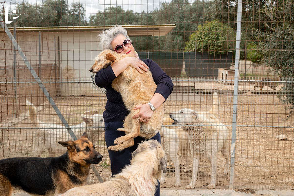 cagnolino saluta la padrona