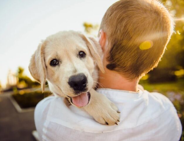 8 foto di cani che vivono il meraviglioso momento dell’adozione