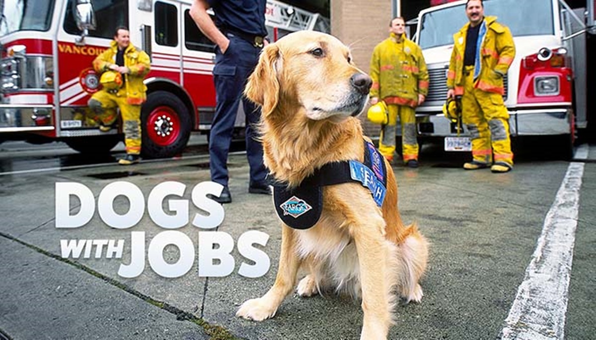 dogs with jobs