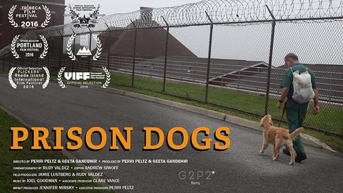 prison dogs