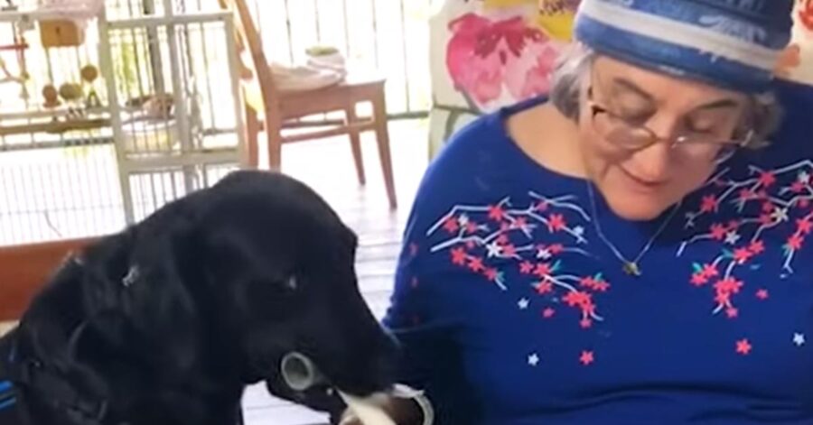 Cane insieme ad una donna anziana