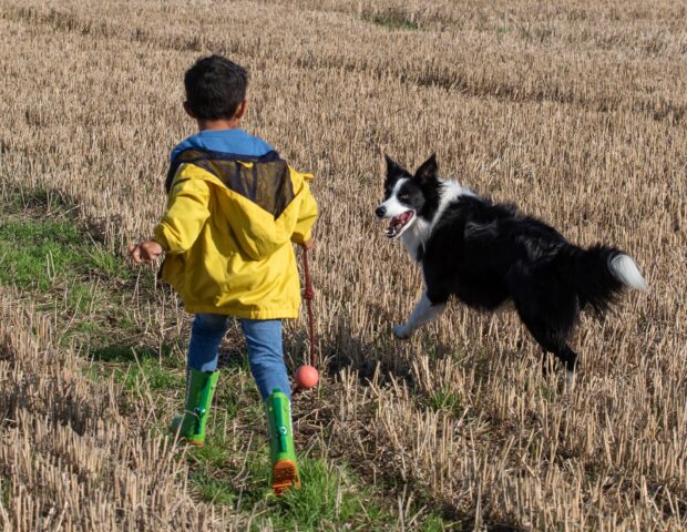 Brasile: un bambino rischia la vita per salvare un cane (VIDEO)